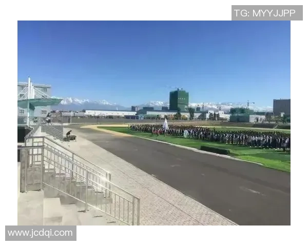 羽毛球场上的追梦旅程:陈静的奋斗与成长故事